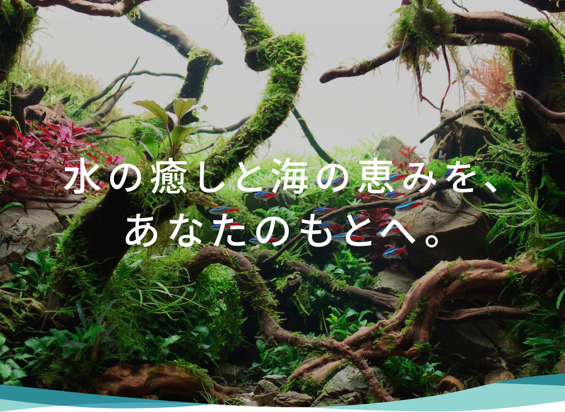 fv-sp_06 水の癒しと海の恵みを、あなたのもとへ。