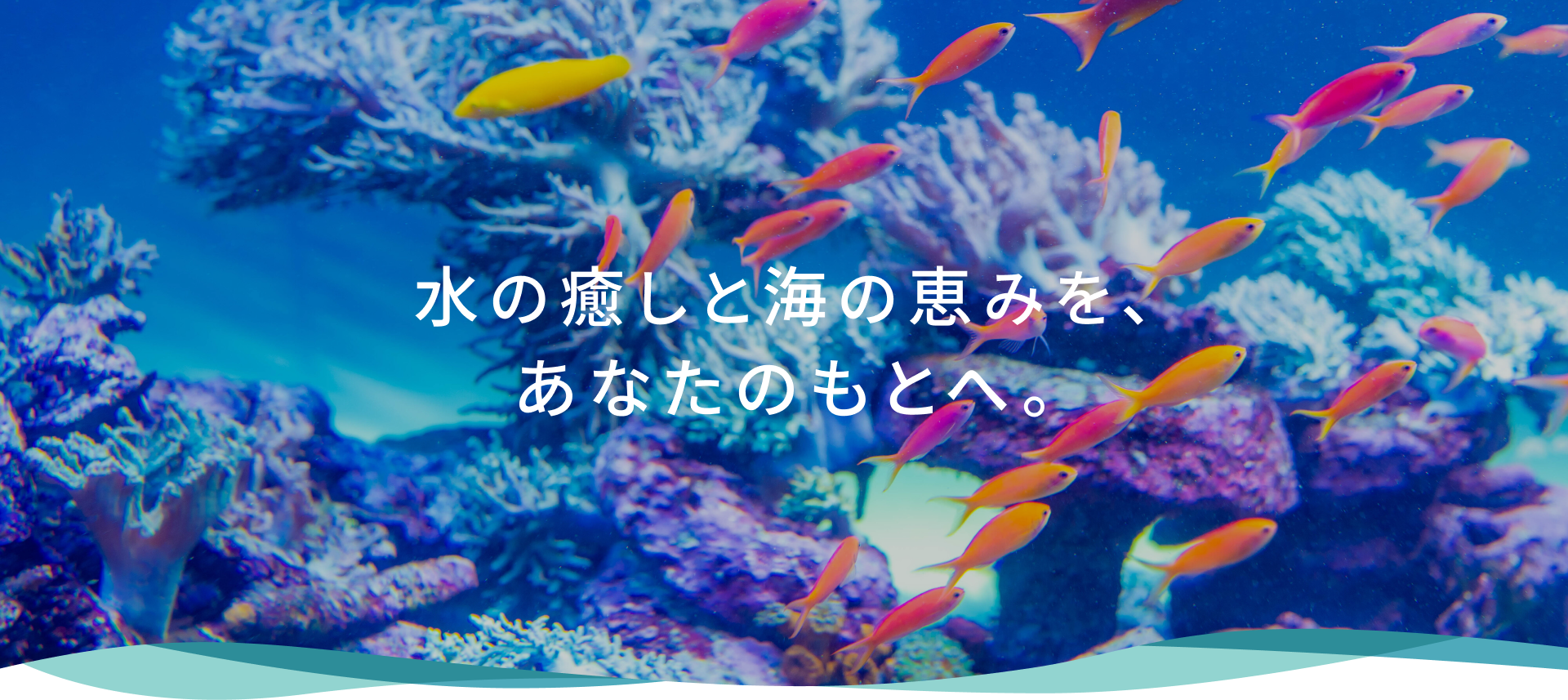 fv_04 水の癒しと海の恵みを、あなたのもとへ。