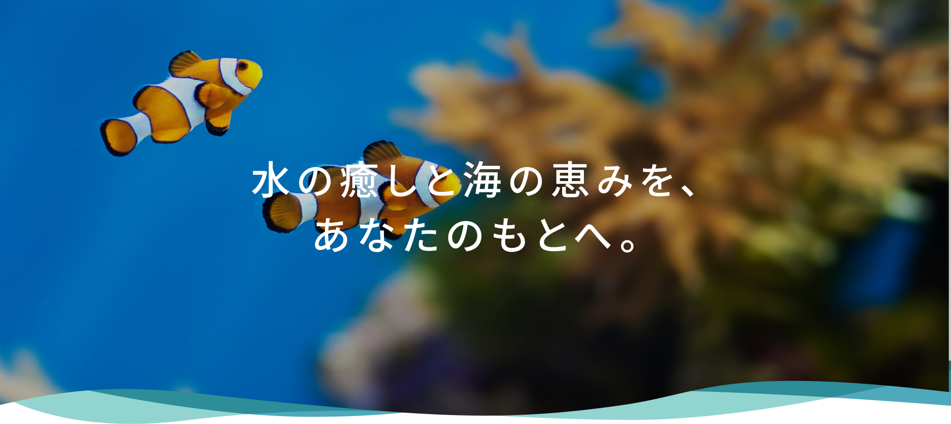fv_05 水の癒しと海の恵みを、あなたのもとへ。